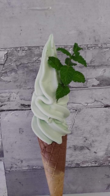 Mátová zmrzlina